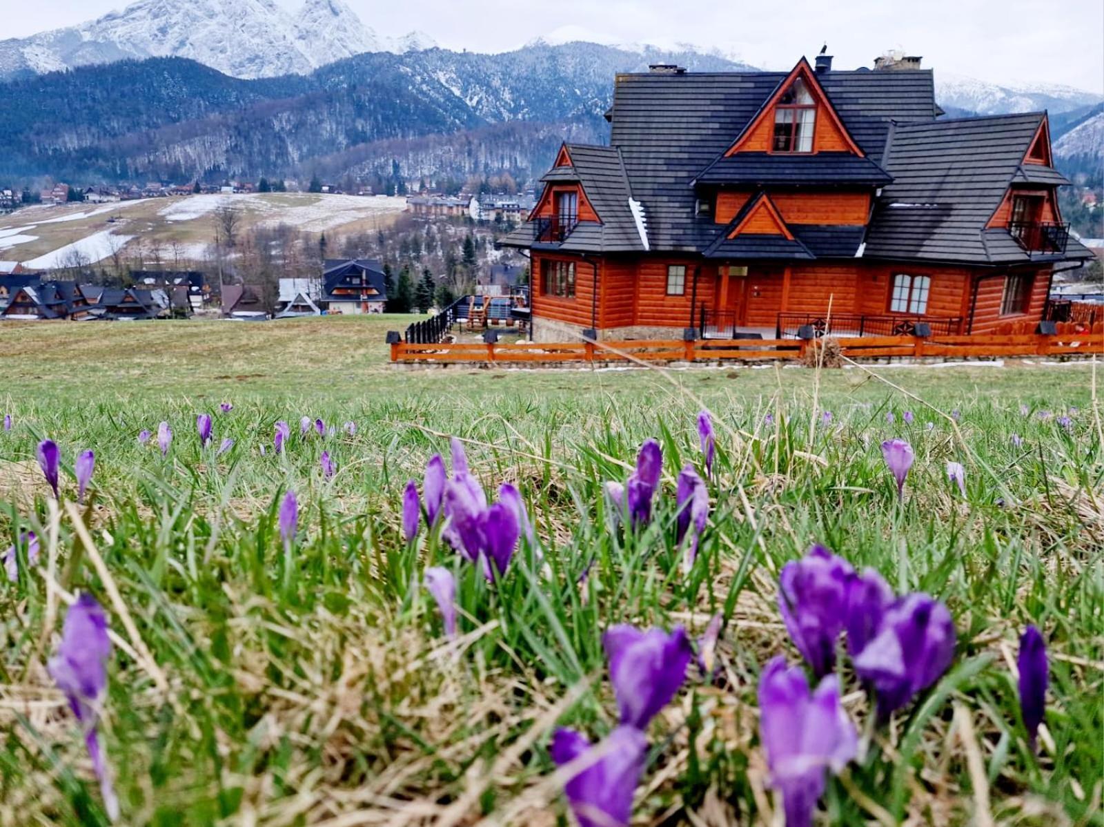 Goralska Prowincja Apartment *